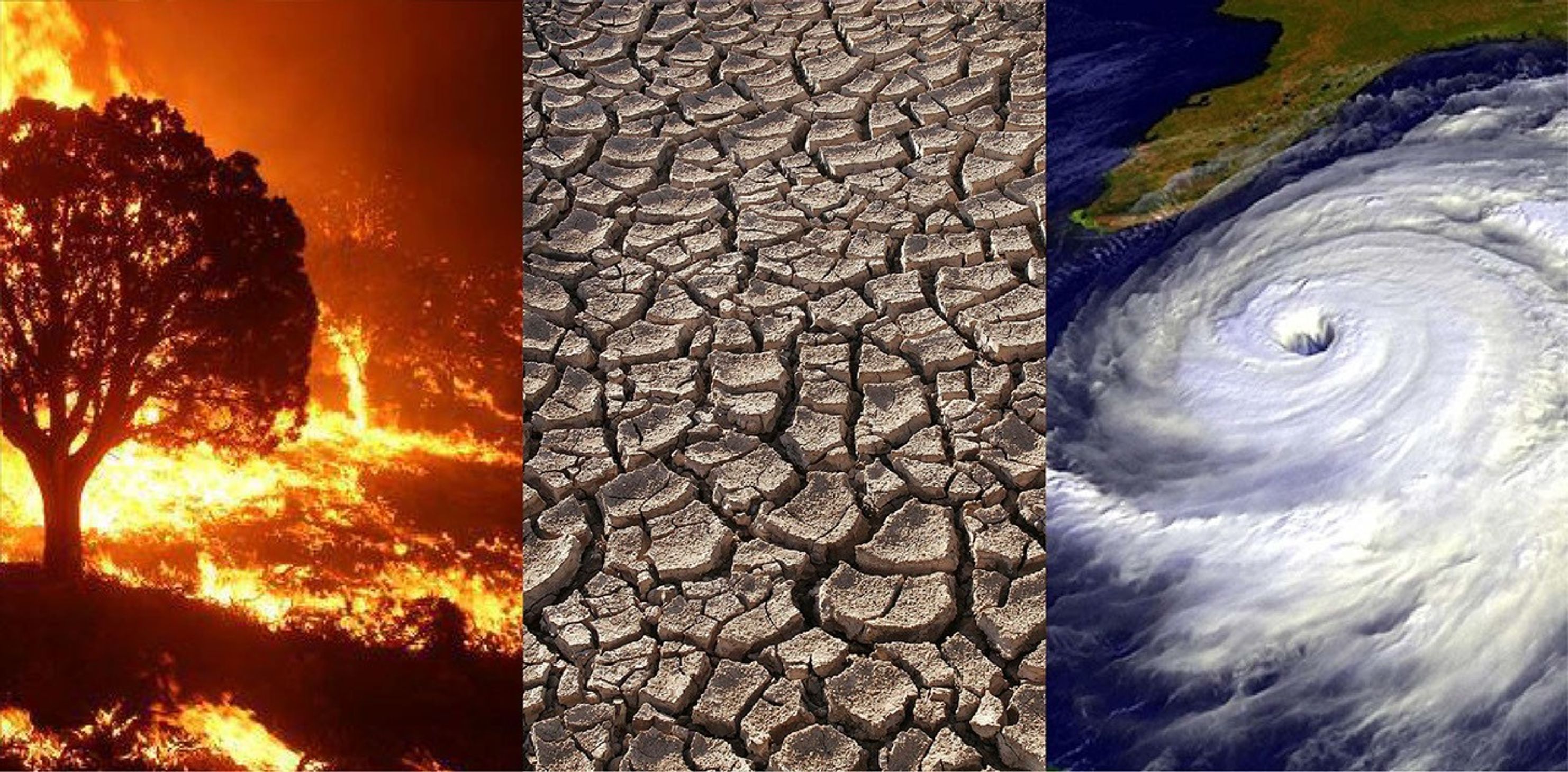 Misanthropocene